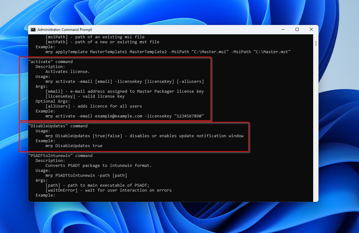 Command prompt window displaying lines of code for activating a license and disabling updates.