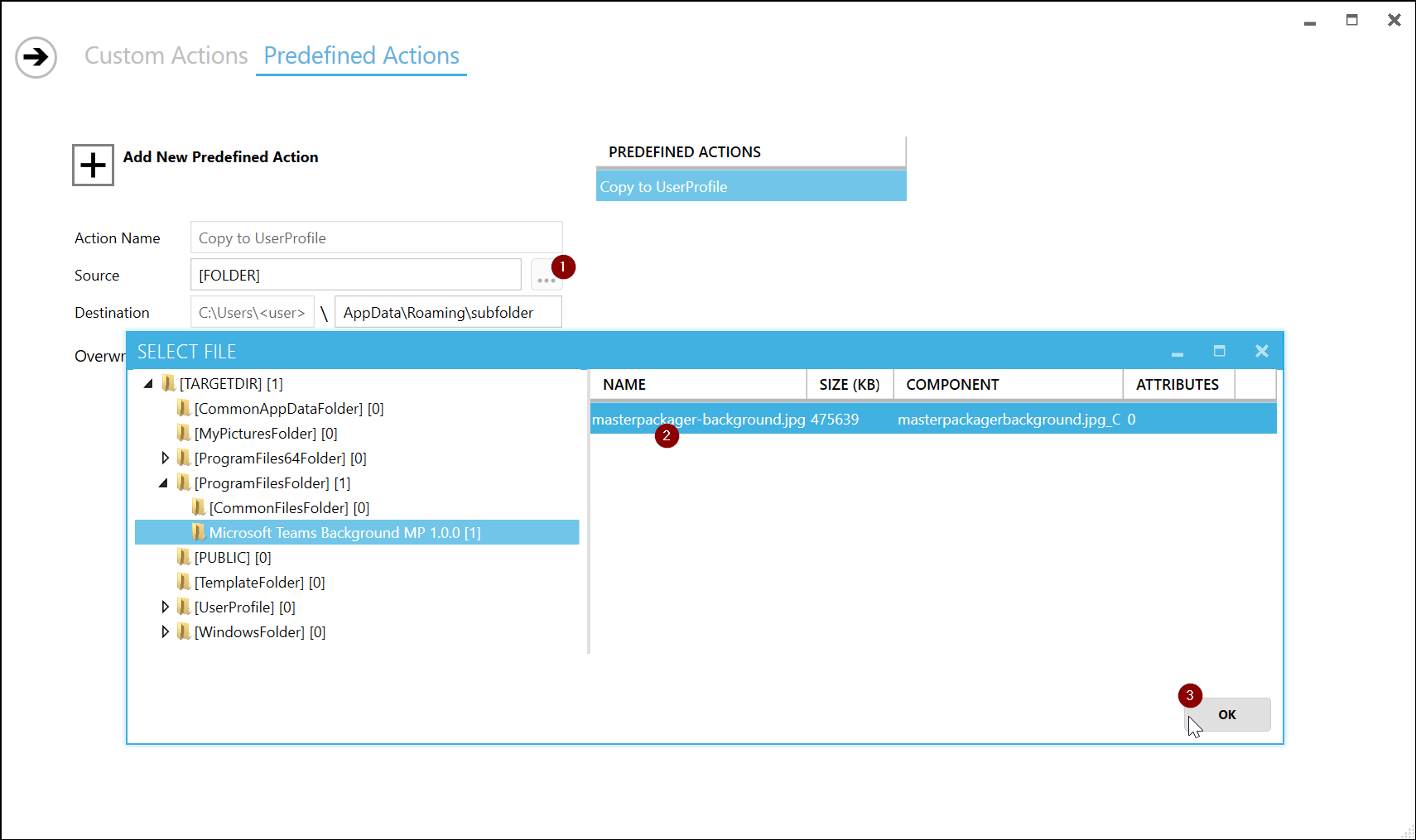 Master Packager showing the Source section with a three-dot button clicked, allowing users to choose a file to copy to the per-user location.