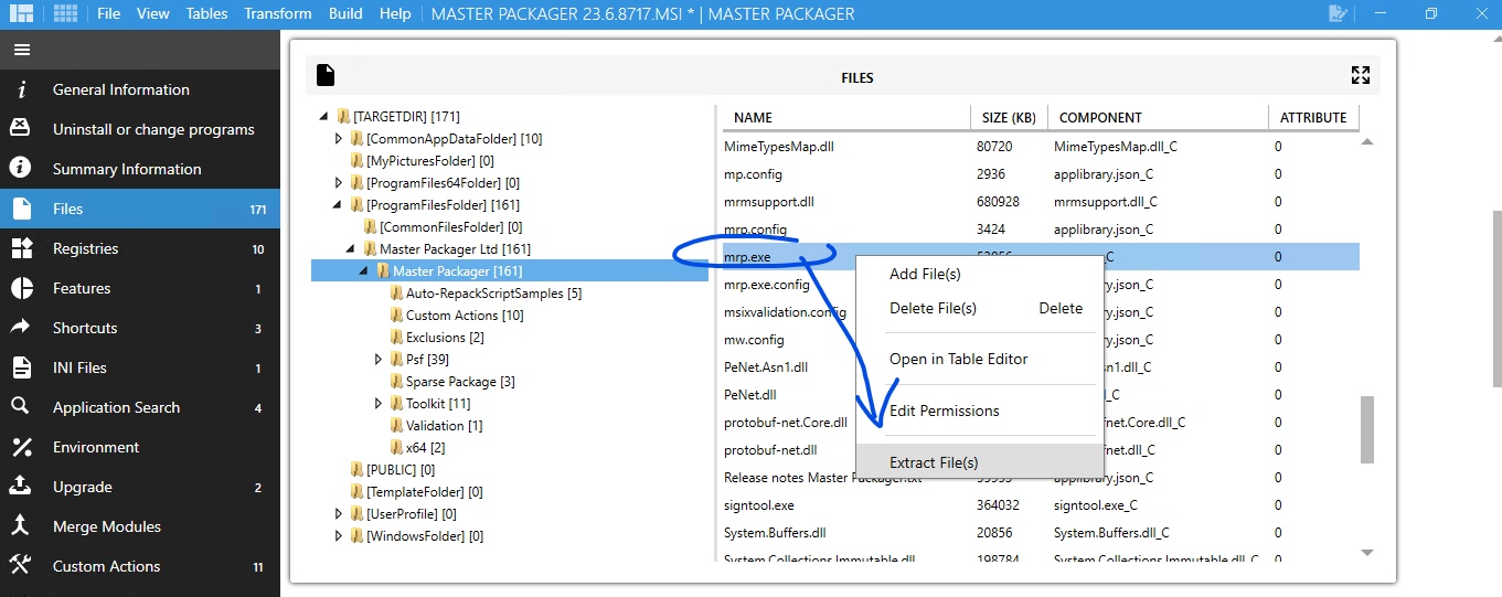Master Packager interface with the option to extract a specific file or directory from an MSI package